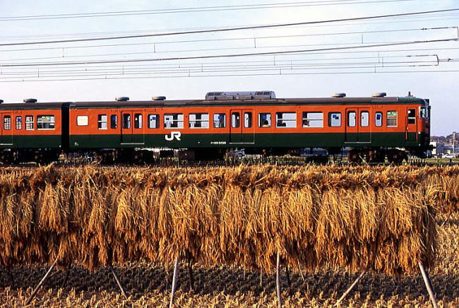 電車～113系網干車、置き換え直前の頃～